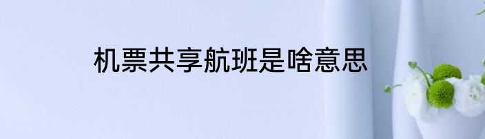 机票共享航班是啥意思