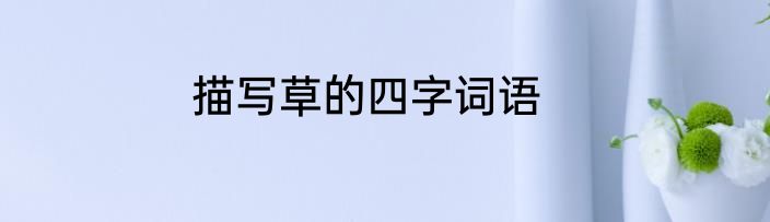 描写草的四字词语