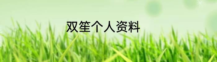 双笙个人资料