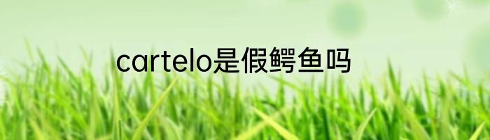 cartelo是假鳄鱼吗