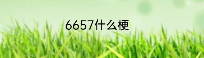 6657什么梗