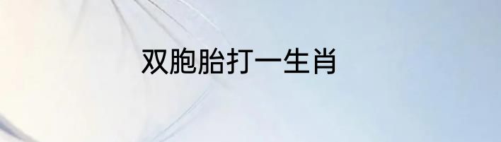 双胞胎打一生肖