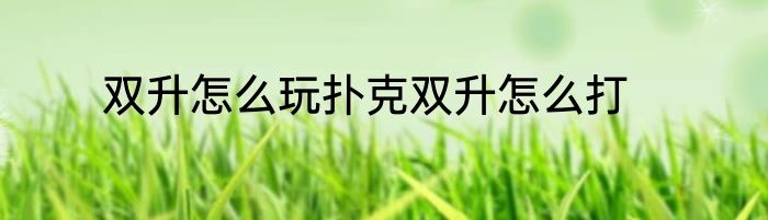 双升怎么玩扑克双升怎么打