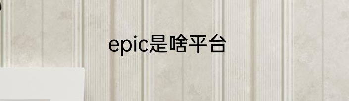 epic是啥平台