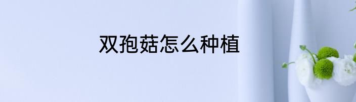 双孢菇怎么种植