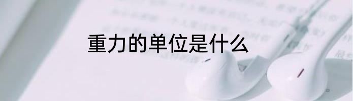 重力的单位是什么