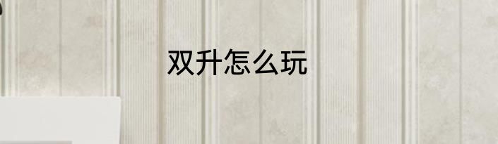 双升怎么玩