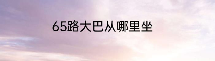 65路大巴从哪里坐