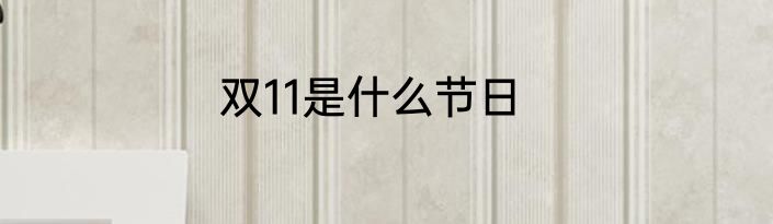 双11是什么节日