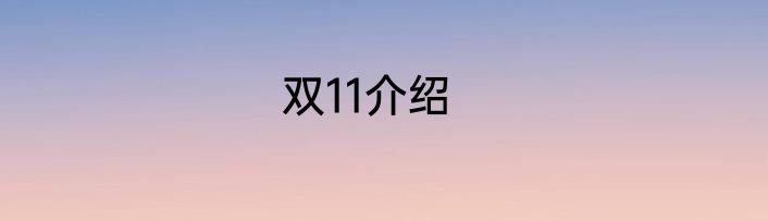 双11介绍
