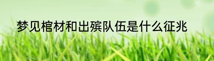 梦见棺材和出殡队伍是什么征兆