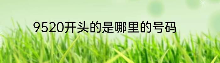 9520开头的是哪里的号码