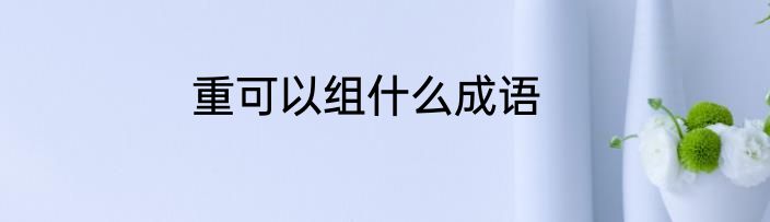 重可以组什么成语