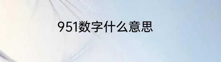 951数字什么意思