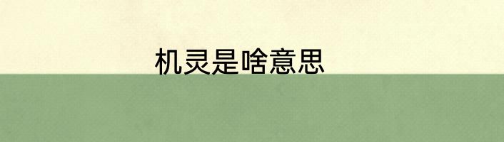 机灵是啥意思