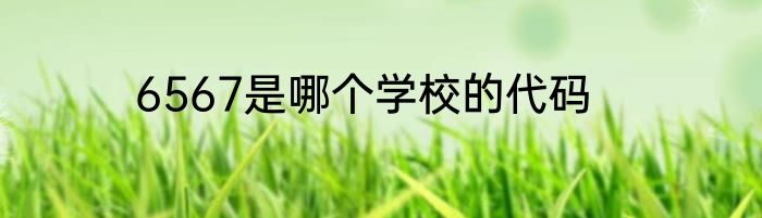 6567是哪个学校的代码