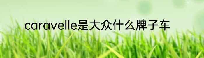 caravelle是大众什么牌子车