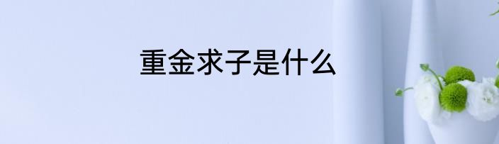 重金求子是什么