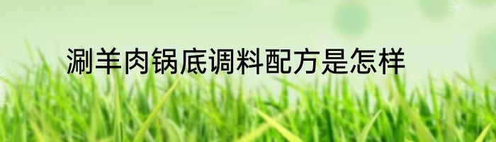 涮羊肉锅底调料配方是怎样