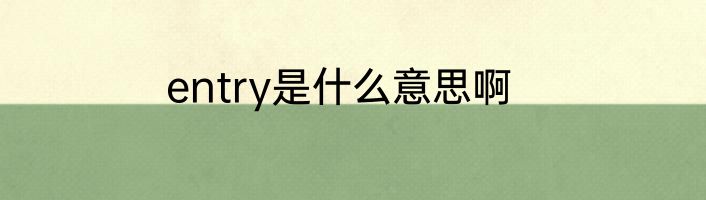 entry是什么意思啊
