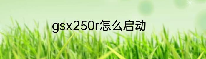 gsx250r怎么启动