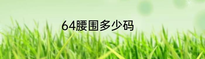 64腰围多少码