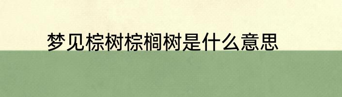 梦见棕树棕榈树是什么意思