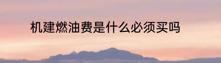 机建燃油费是什么必须买吗