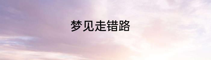 梦见走错路