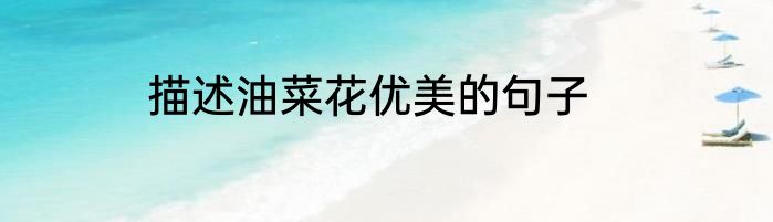 描述油菜花优美的句子
