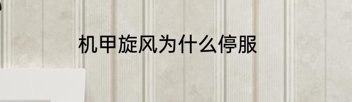 机甲旋风为什么停服