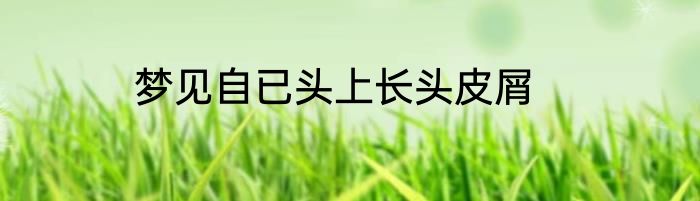 梦见自已头上长头皮屑