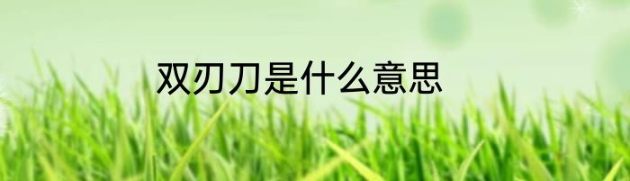 双刃刀是什么意思