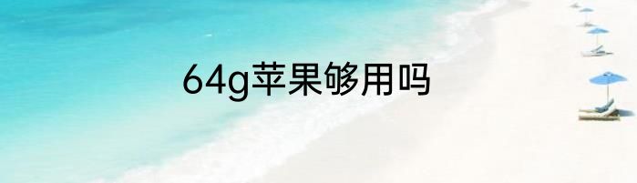 64g苹果够用吗