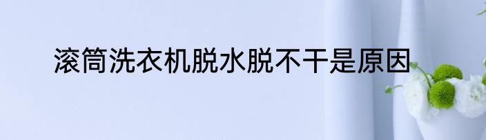 滚筒洗衣机脱水脱不干是原因