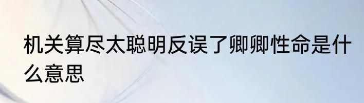 机关算尽太聪明反误了卿卿性命是什么意思