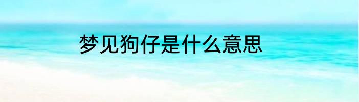 梦见狗仔是什么意思