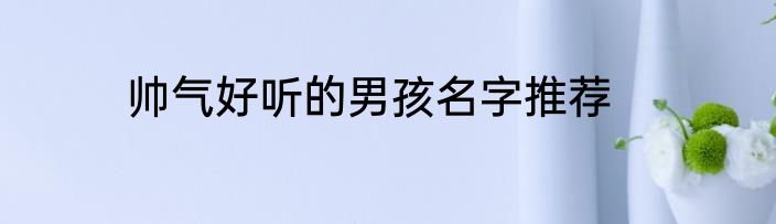 帅气好听的男孩名字推荐