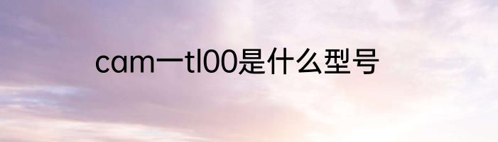 cam一tl00是什么型号