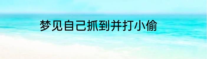 梦见自己抓到并打小偷