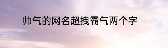 帅气的网名超拽霸气两个字
