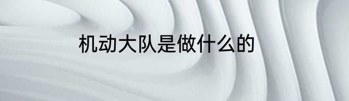机动大队是做什么的