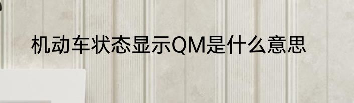 机动车状态显示QM是什么意思