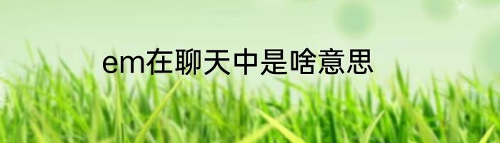 em在聊天中是啥意思