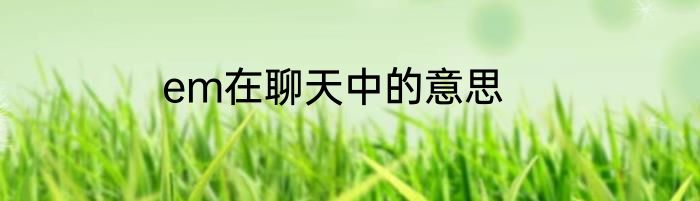 em在聊天中的意思