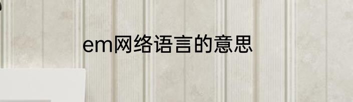 em网络语言的意思