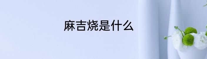 麻吉烧是什么