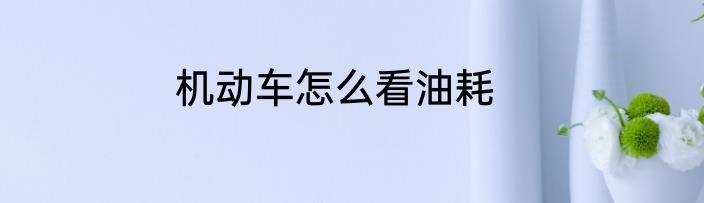 帅哥是什么意思