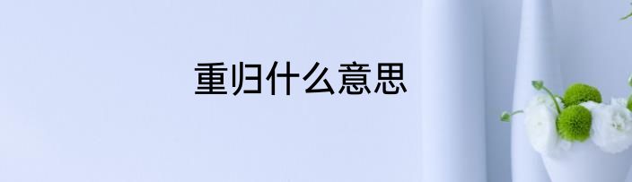 重归什么意思