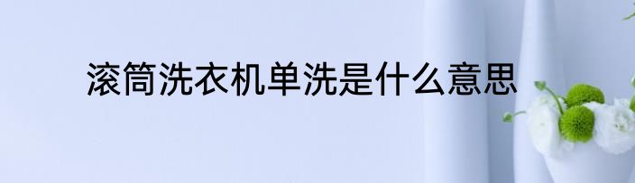 滚筒洗衣机单洗是什么意思